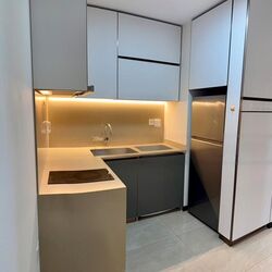 Normanton Park (D5), Apartment #456091121